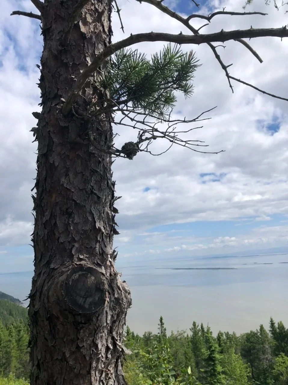 RSI, Alexandre Nadeau, Collège Limoges, Méthode Libération des Cuirasses, MLC, Anaïs Fournier