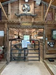 IMG_3020.jpeg