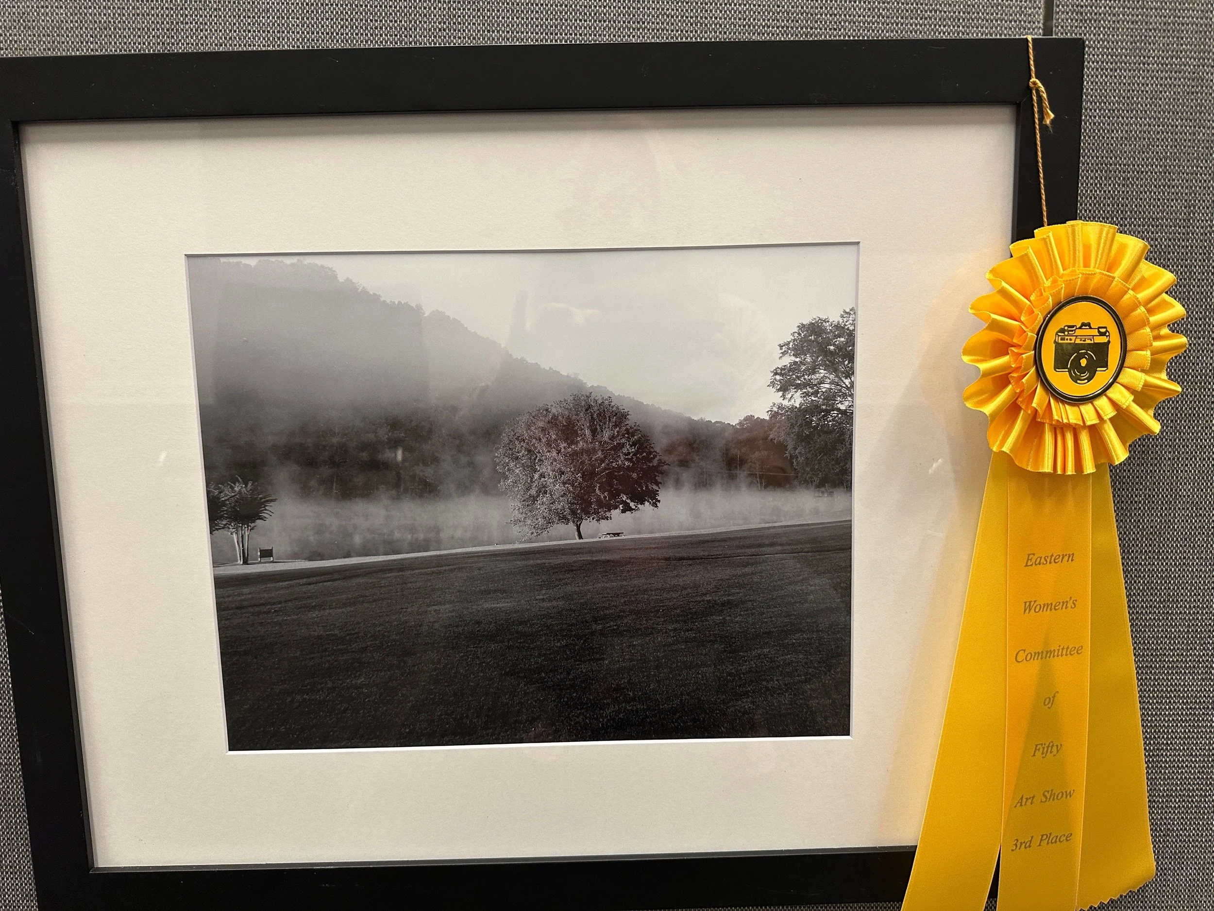 Mixed Media: Sophia Shipman - 2nd Place