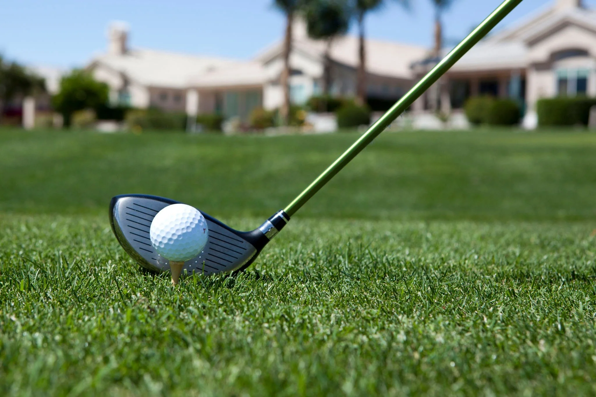 Non-Player Dinner Guest