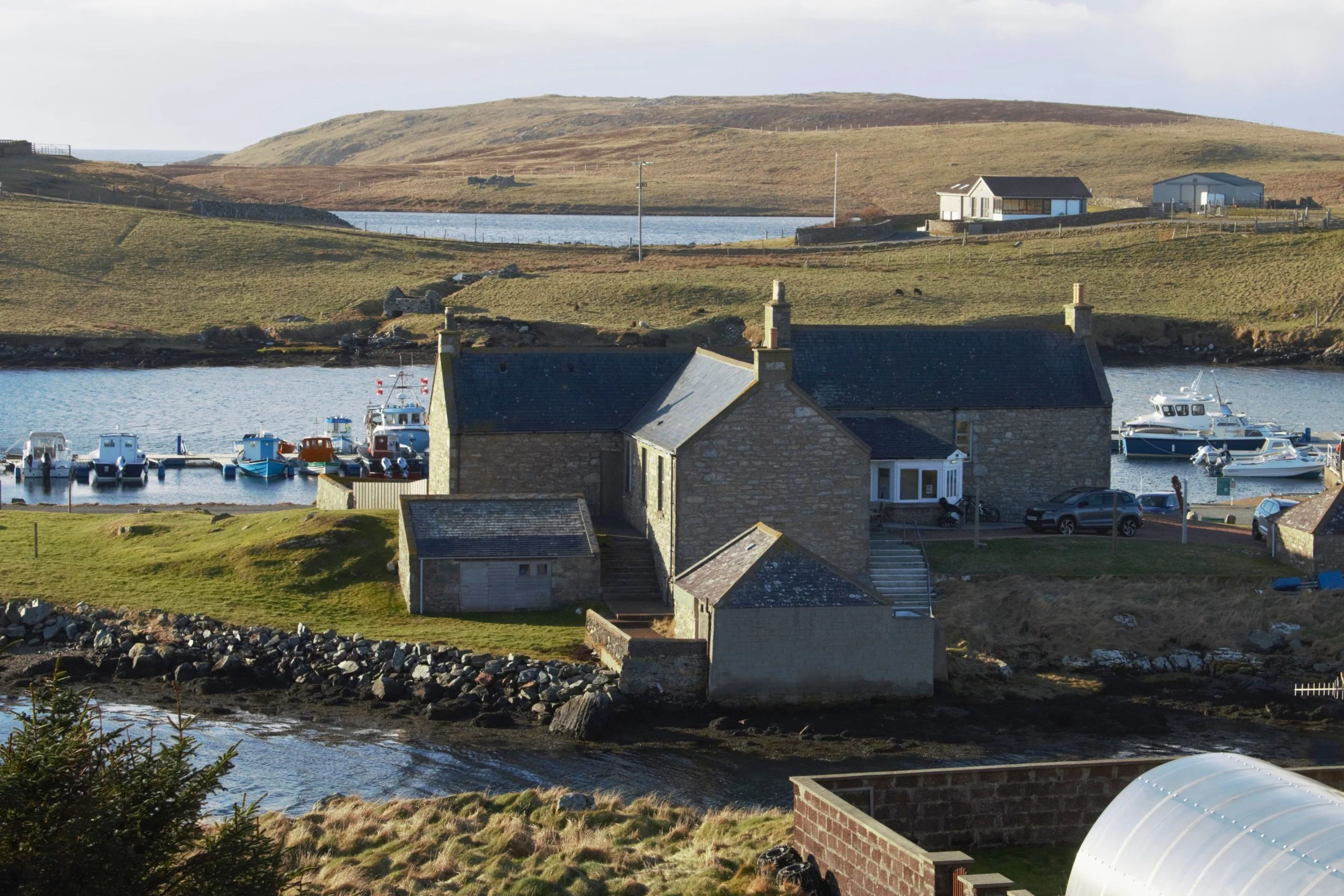 Untitled design (83).jpg