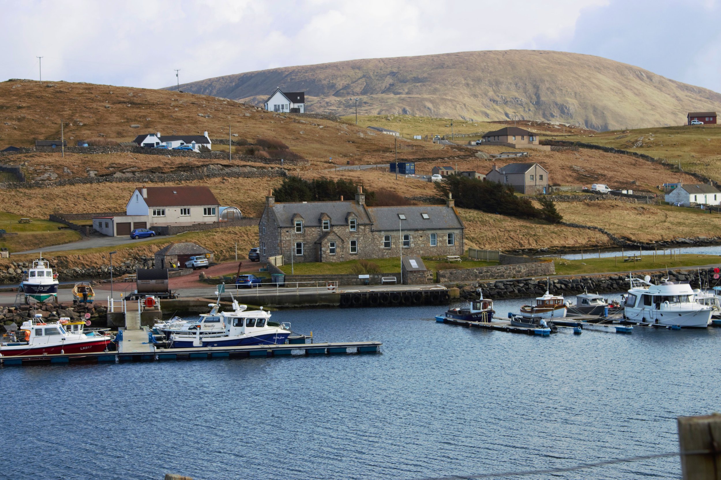 Untitled design (40).jpg