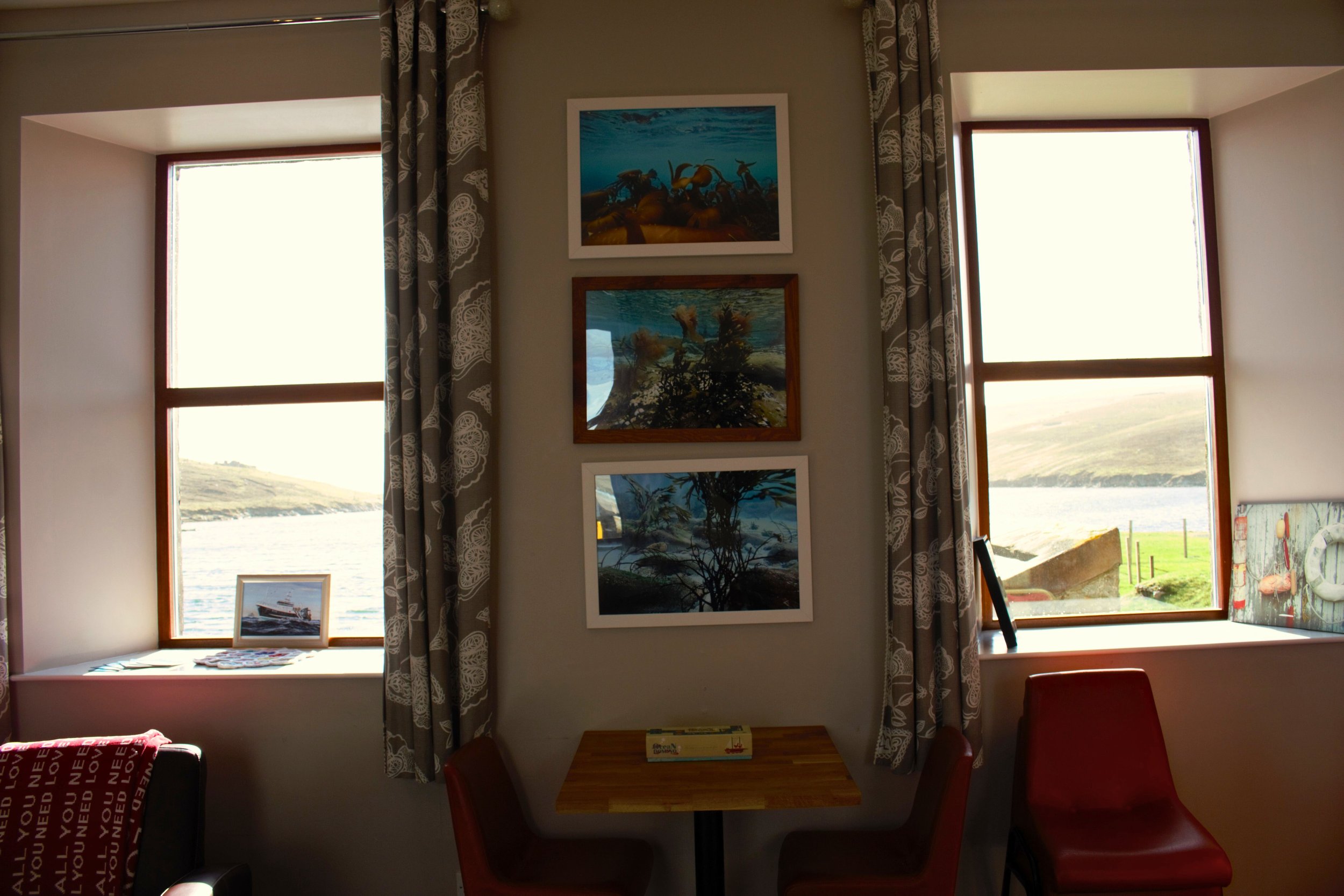 Untitled design (10).jpg