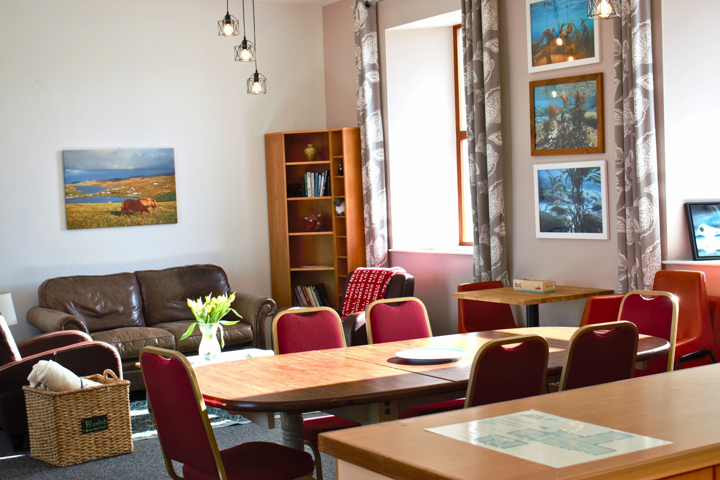 Untitled design (15).jpg