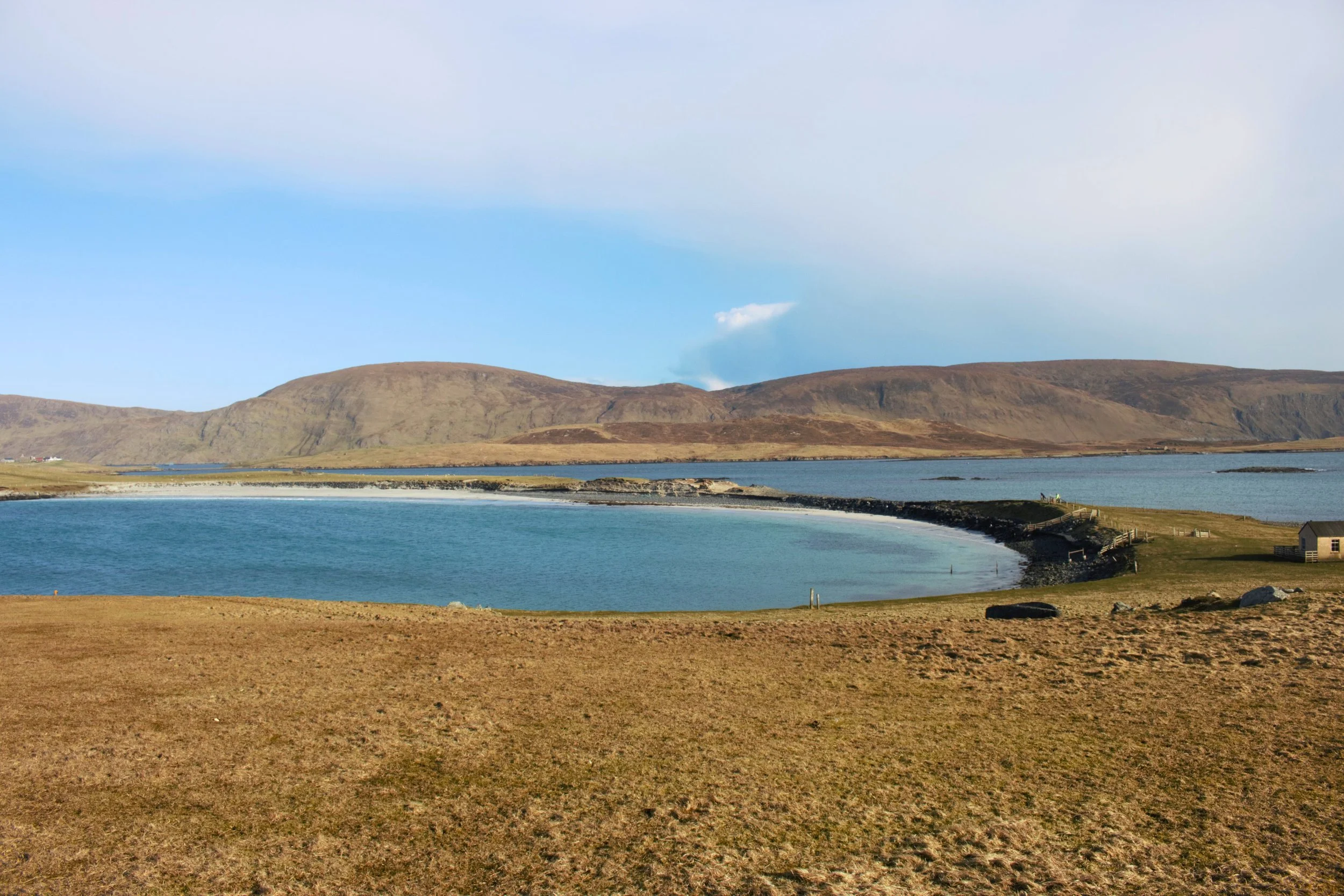 Untitled design (60).jpg