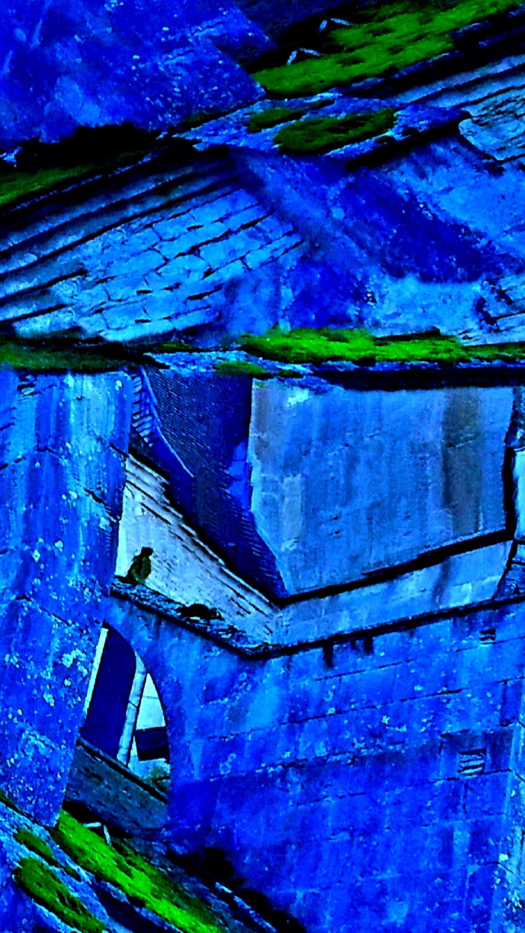 Screenshot_20211227-212756_Gallery.jpg