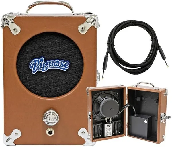 pignose-guitar-black-w-gold-hardware-w-bag-image-1.jpg