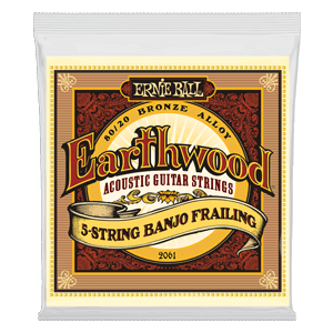 earthwood-80-20-bronze-5-str-frailing-banjo-10-24-image-1.png