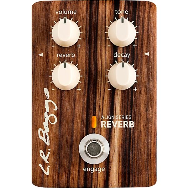 lr-baggs-acoustic-reverb-pedal-image-1.jpg