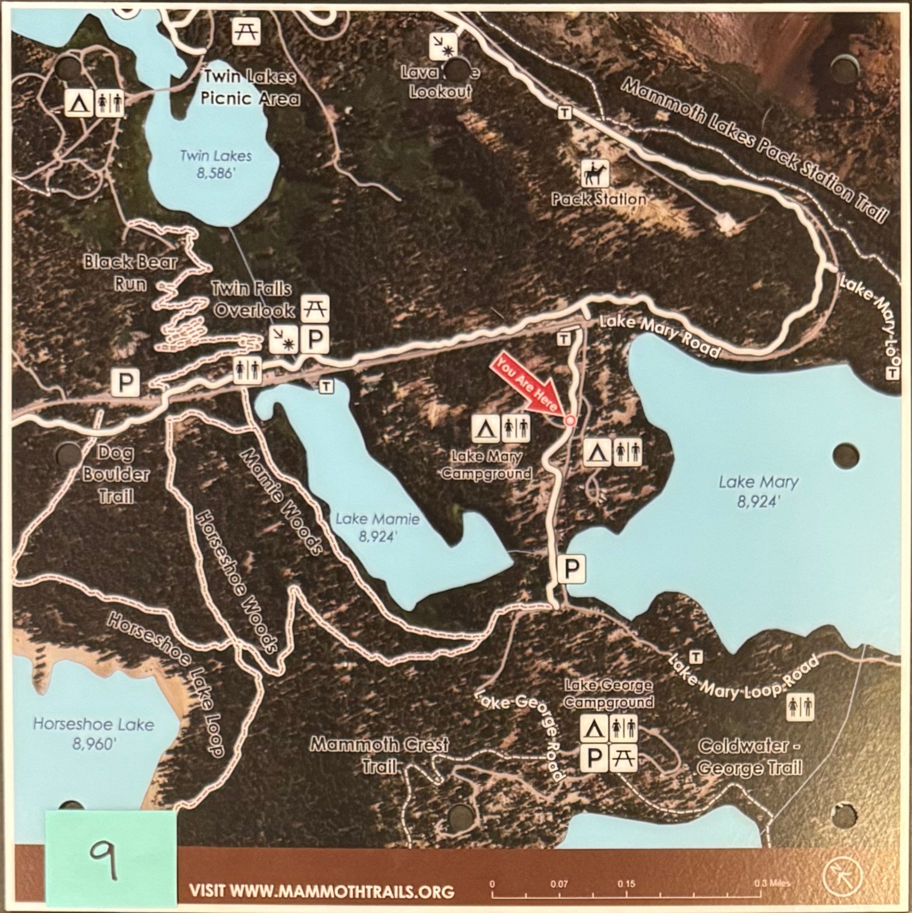Map Tile 09.jpg