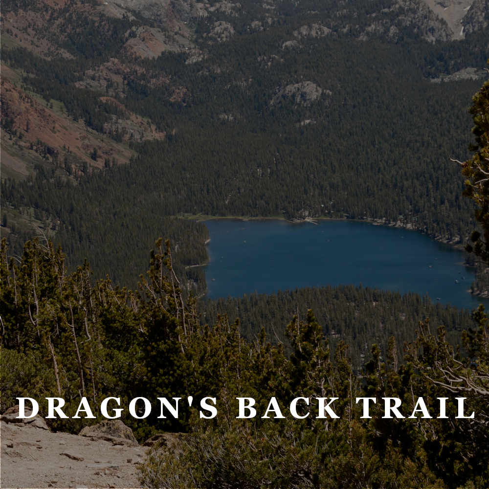 AAT Dragons Back Trail.png