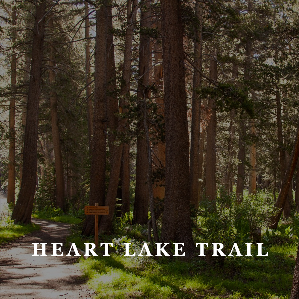AAT heart Lake Trail.png