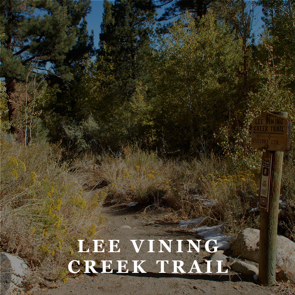 AAT Lee Vining Creek Trail.png