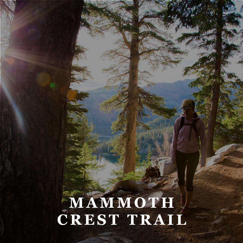 AAT Mammoth Crest Trail.png