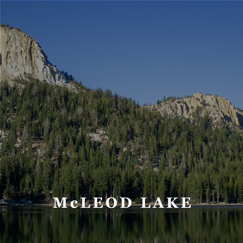AAT McLeod Lake.png
