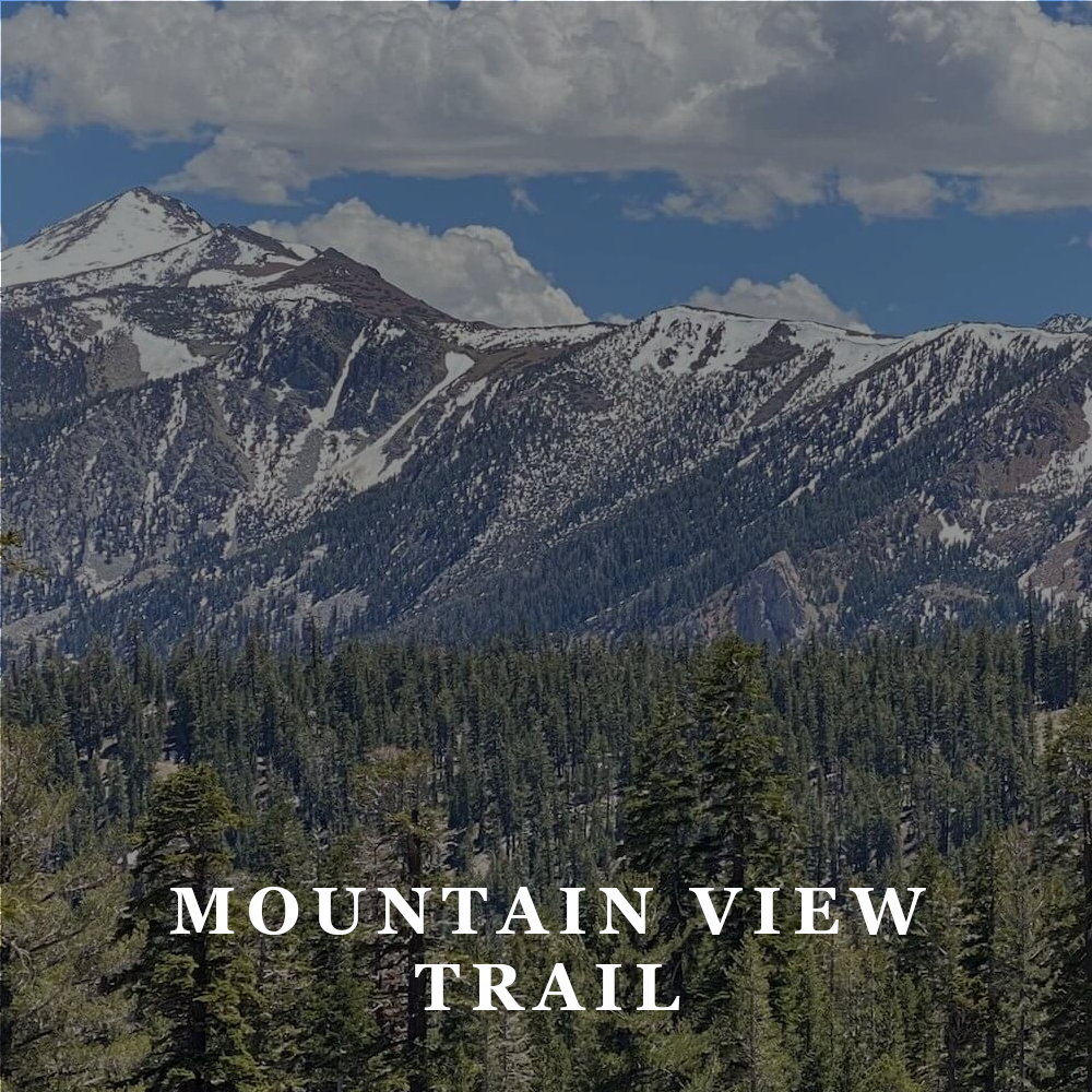 AAT Mountain View Trail.png