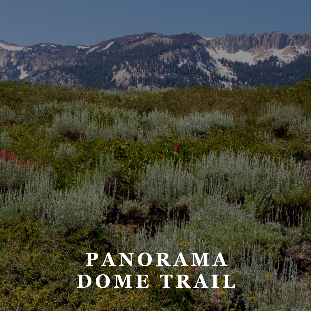 AAT Panorama Dome Trail.png
