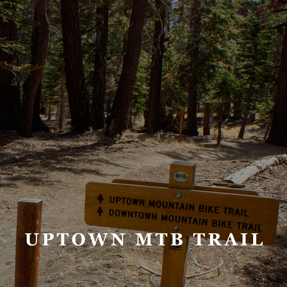 AAT Uptown MTB Trail.png