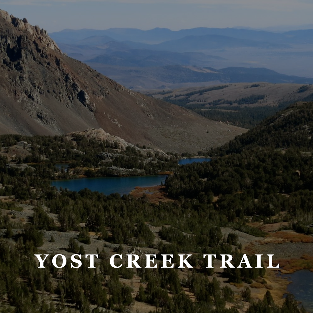 AAT Yost Creek Trail.png