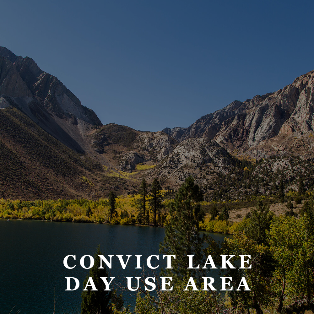 TFW - convice lake day use area.png