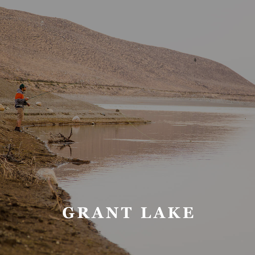 TFW - grant lake.png