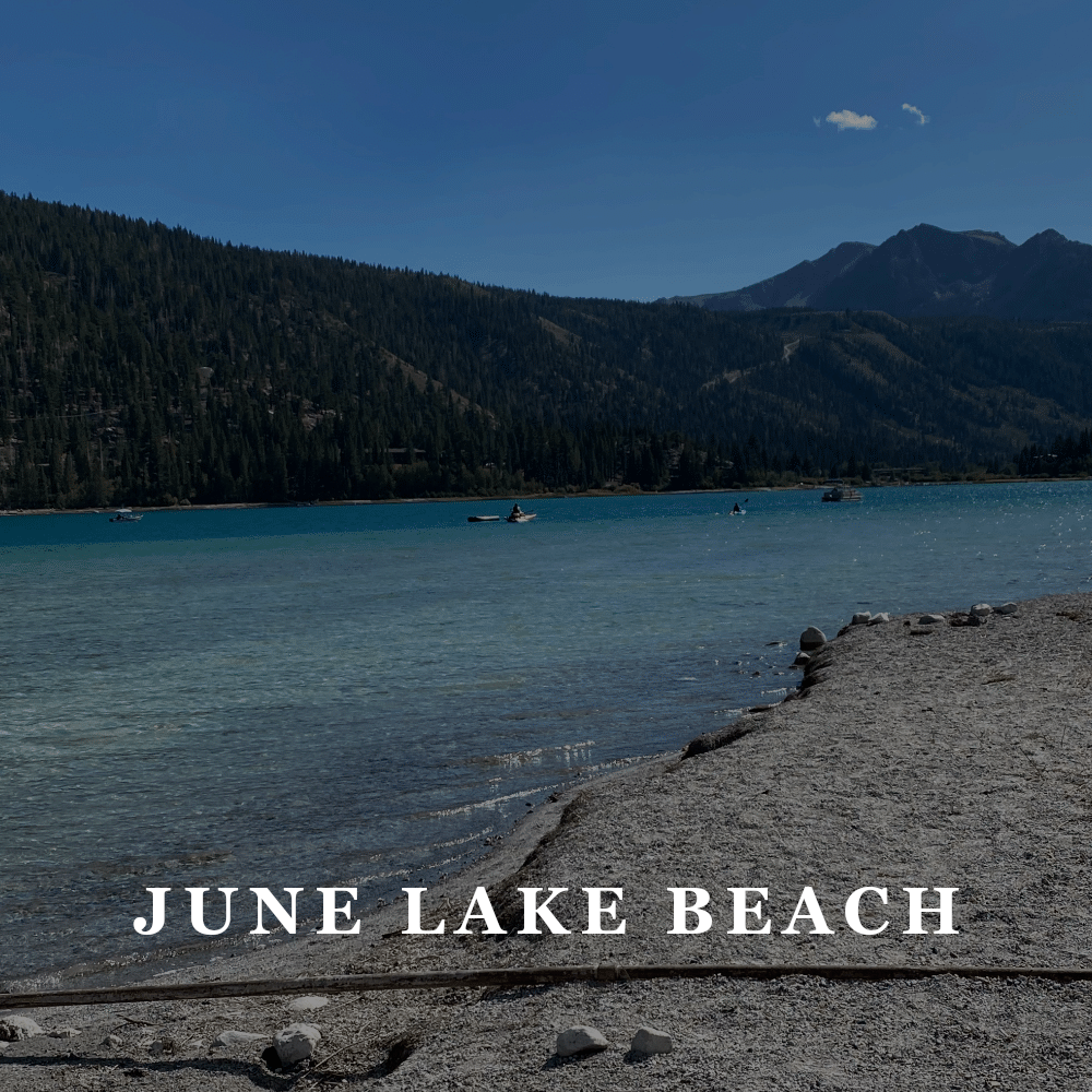 TFW - june lake beach.png