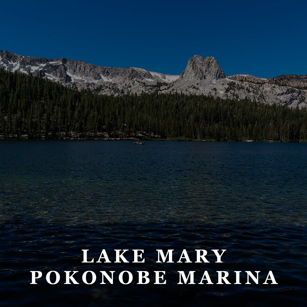TFW - lake mary pokonobe marina.png