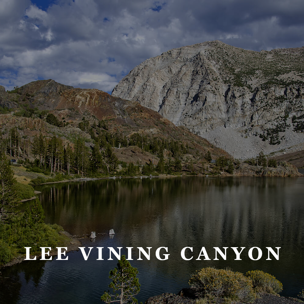 TFW - lee vining canyon.png