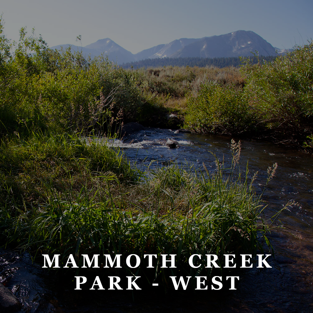 TFW - mammoth creek park west.png