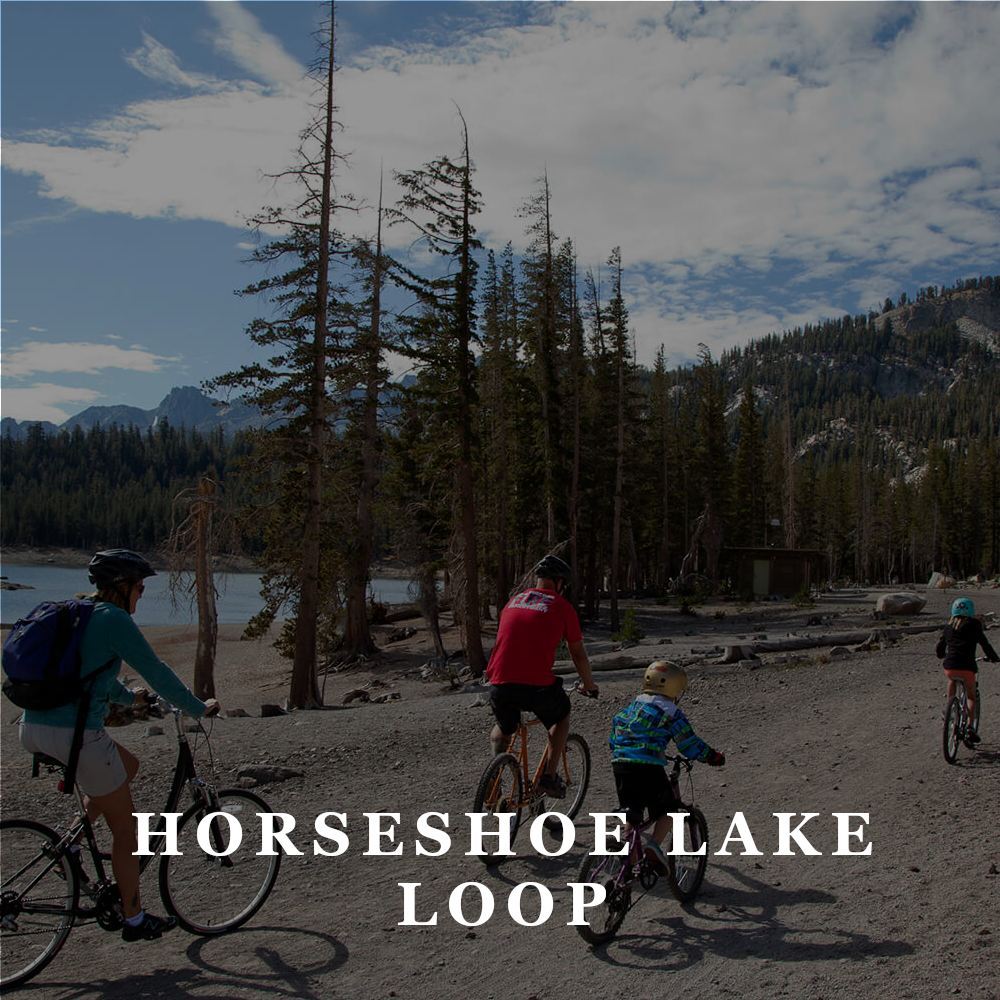 AAT Horseshoe Lake Loop.png