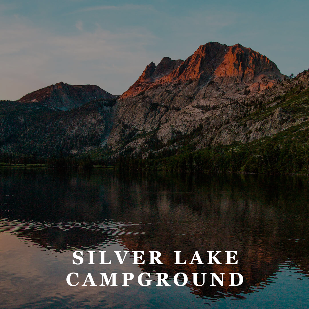 TFW - silver lake.png