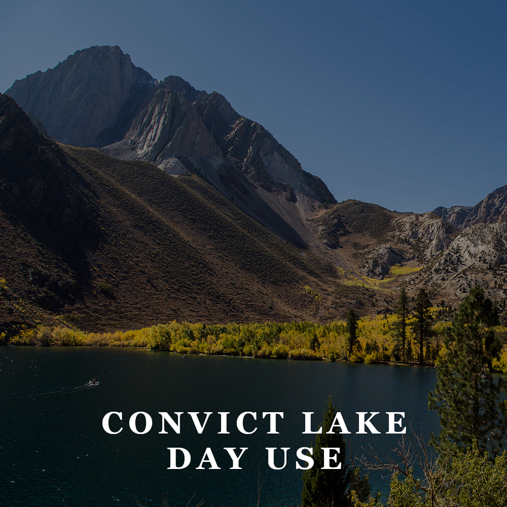 TFW - convice lake day use area.png