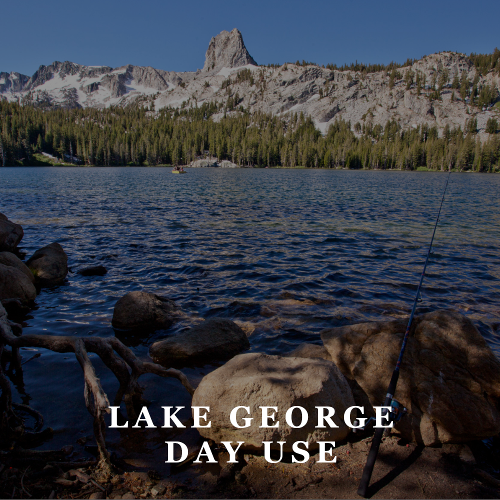 TFW - lake george day use area.png