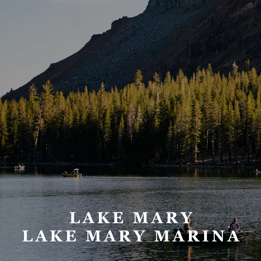 TFW - lake mary marina.png