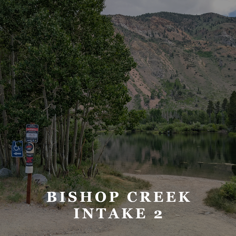 TFW - bishop creek intake 2.png