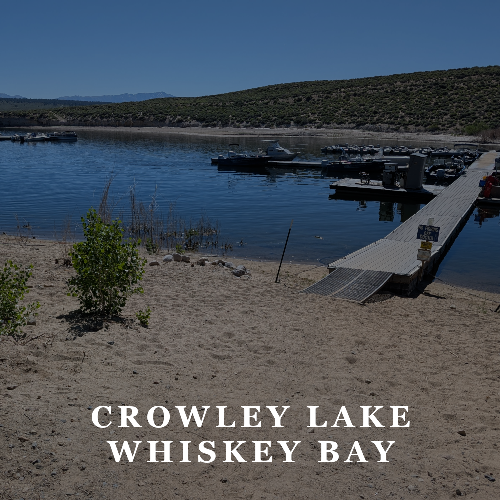 SPONSOR: AVAILABLE + VOLUNTEER: AVAILABLE