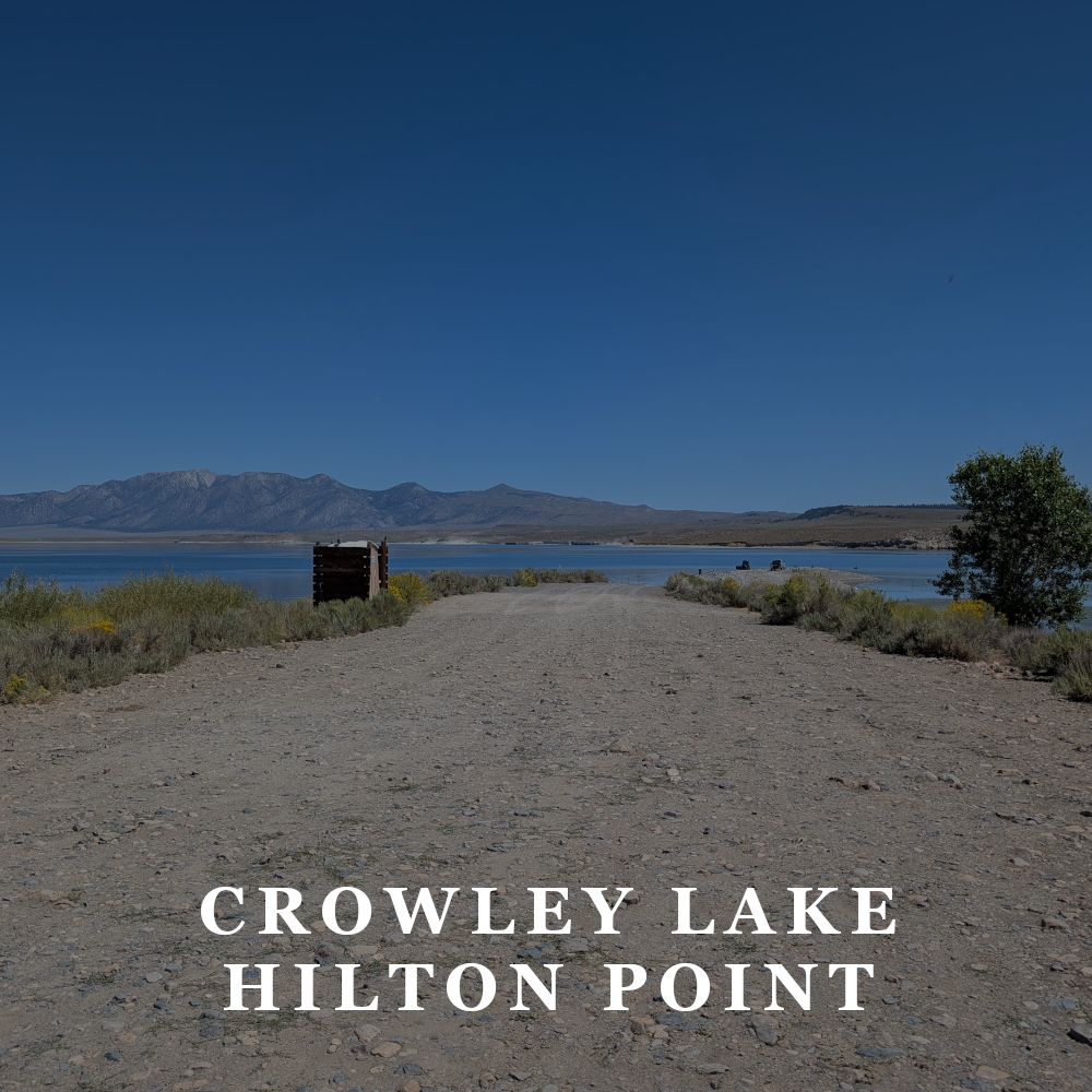 SPONSOR: AVAILABLE + VOLUNTEER: AVAILABLE