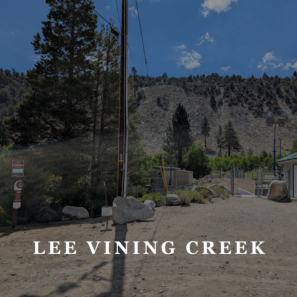 VOLUNTEER: AVAILABLE