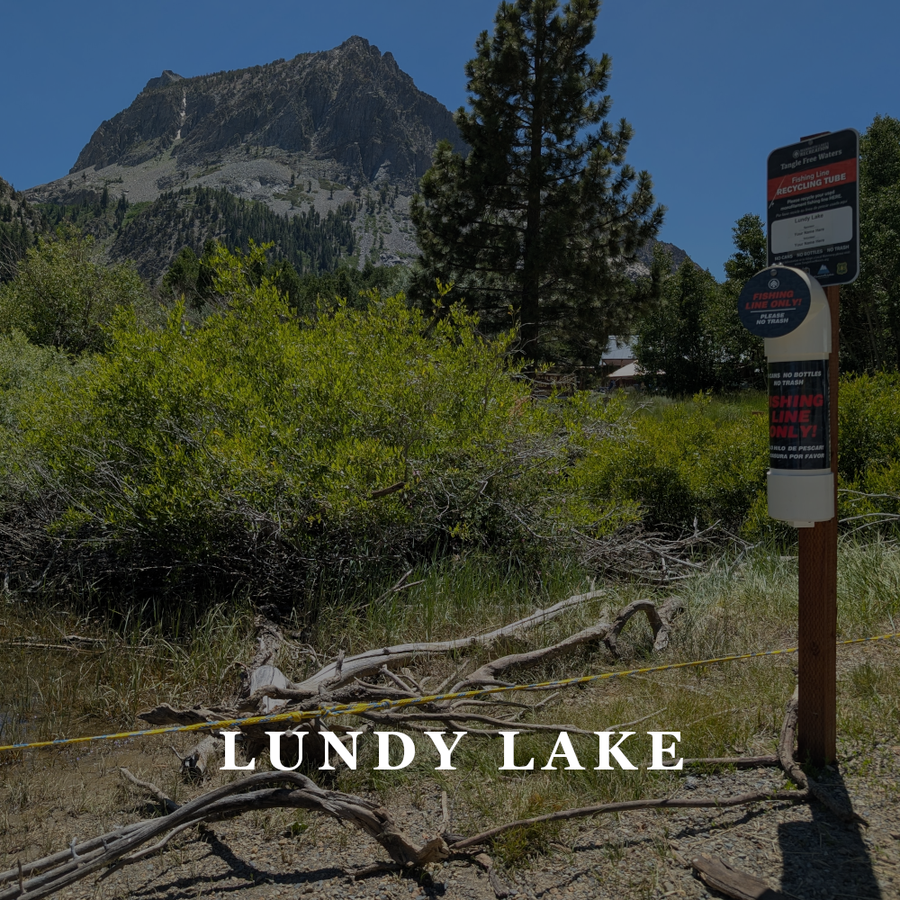 SPONSOR: AVAILABLE + VOLUNTEER: AVAILABLE