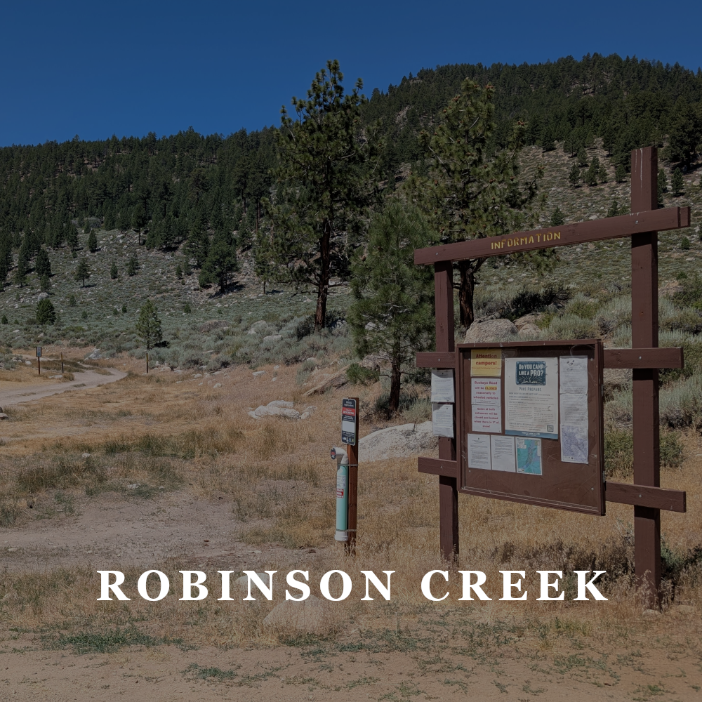 SPONSOR: AVAILABLE + VOLUNTEER: AVAILABLE