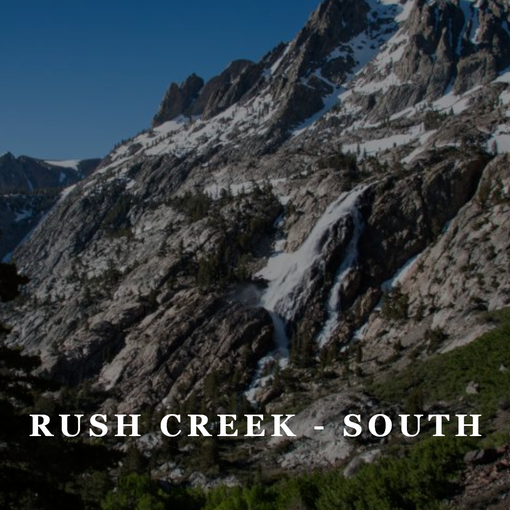 SPONSOR: AVAILABLE + VOLUNTEER: AVAILABLE