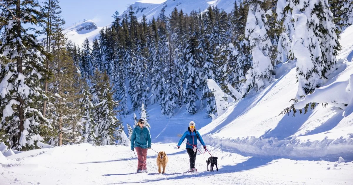 WINTER RECREATION UPDATES