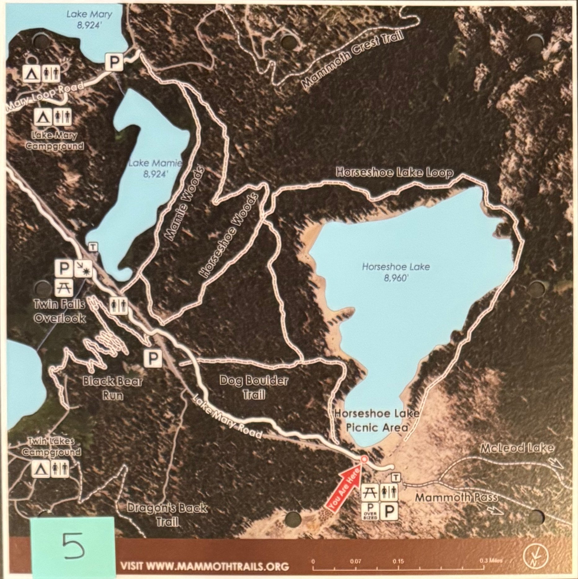 Map Tile 05.jpg