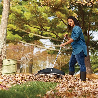 βFallβ Into Alignment: Chiropractic Tips for the Season