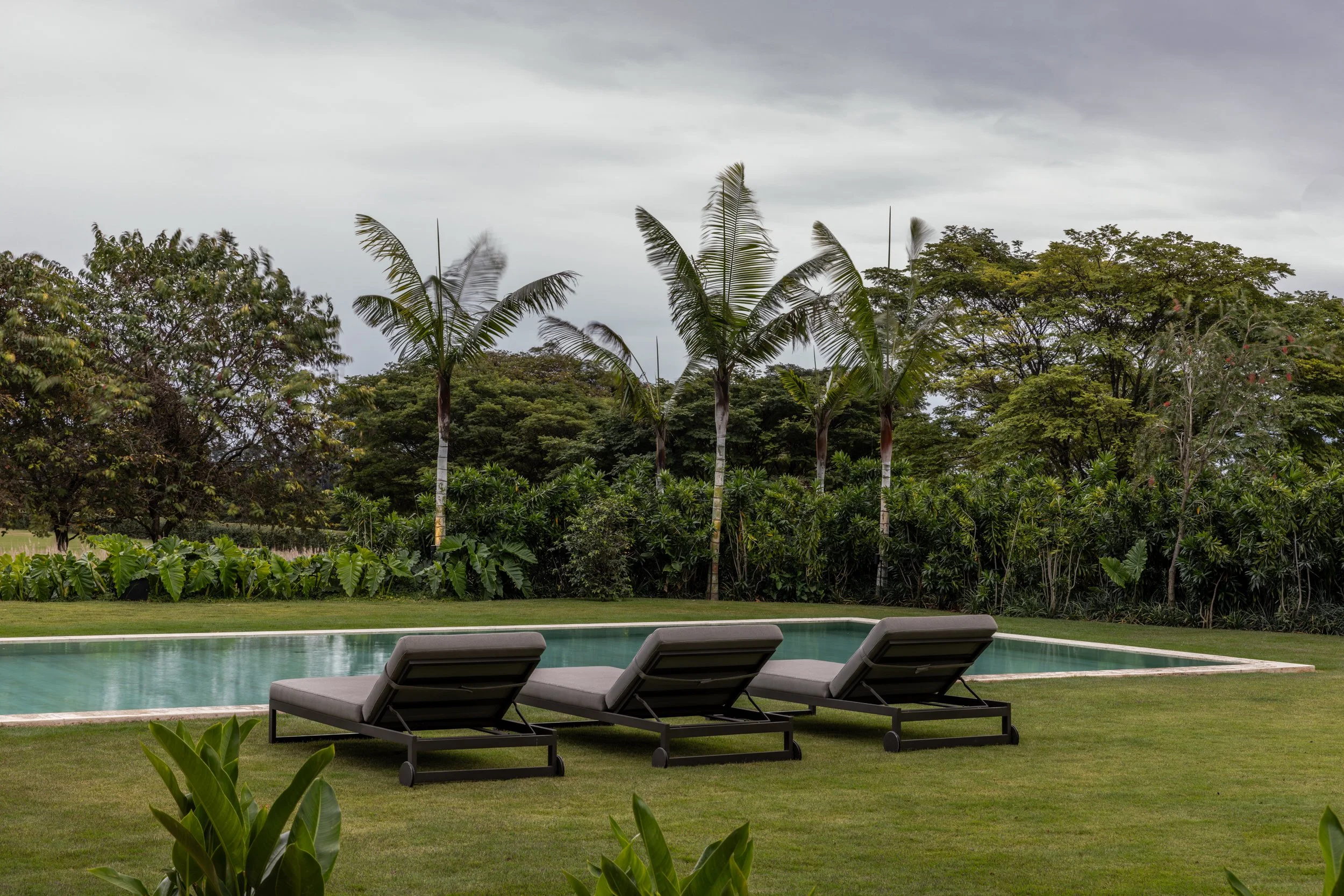 Residencia ANS - DN paisagismo - Bernardes-Lampur-17.jpg