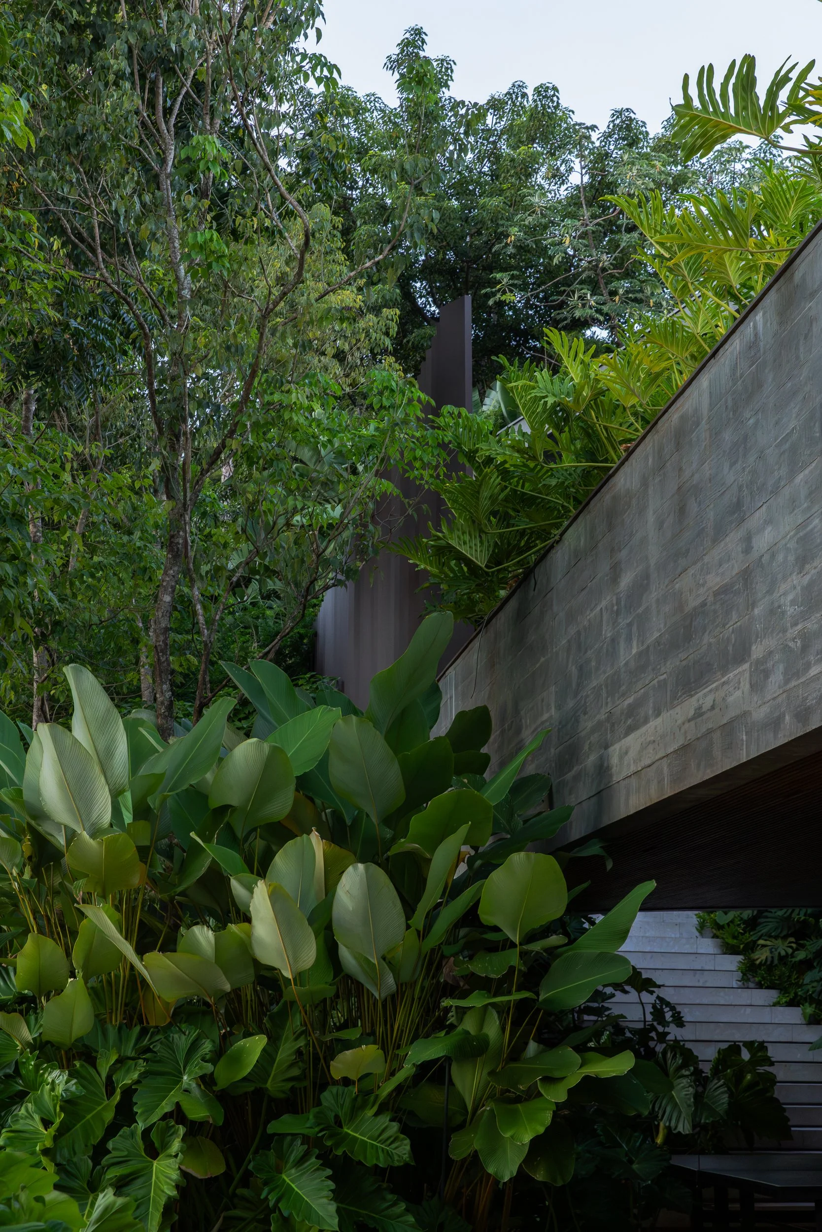 Casa das Aguas - DN paisagismo - HF arquitetura-6.jpg