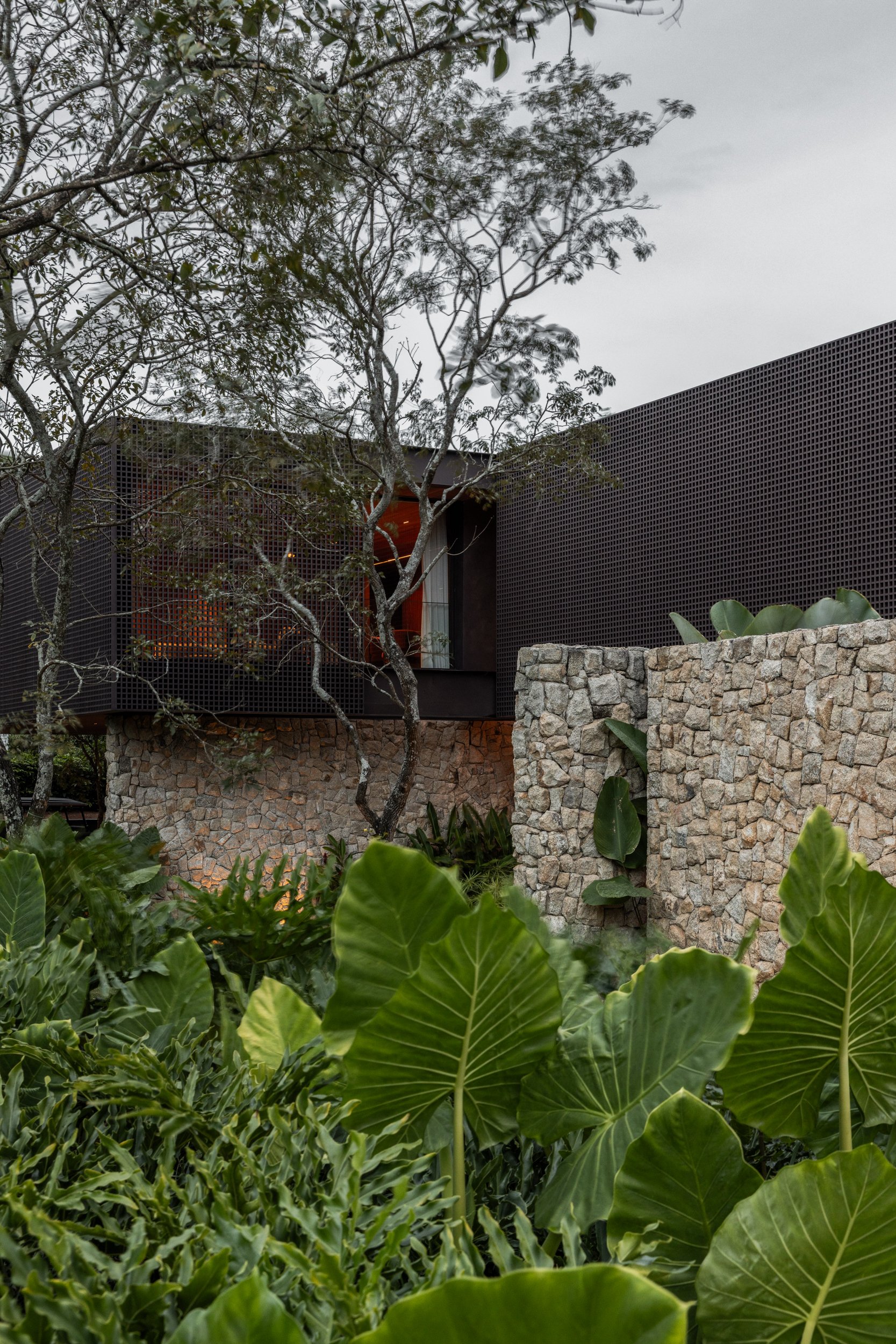 Residencia ANS - DN paisagismo - Bernardes-Lampur-9.jpg