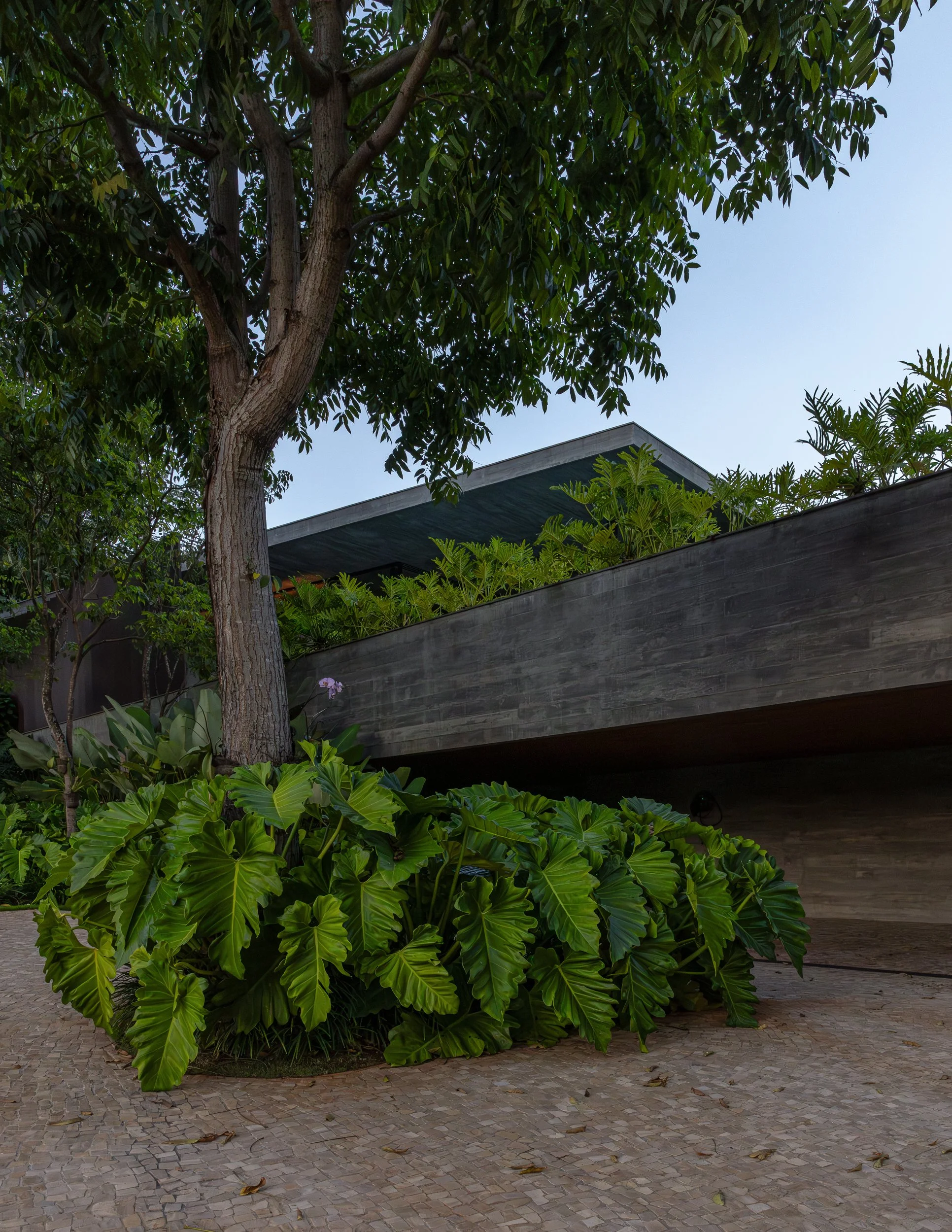 Casa das Aguas - DN paisagismo - HF arquitetura-5.jpg