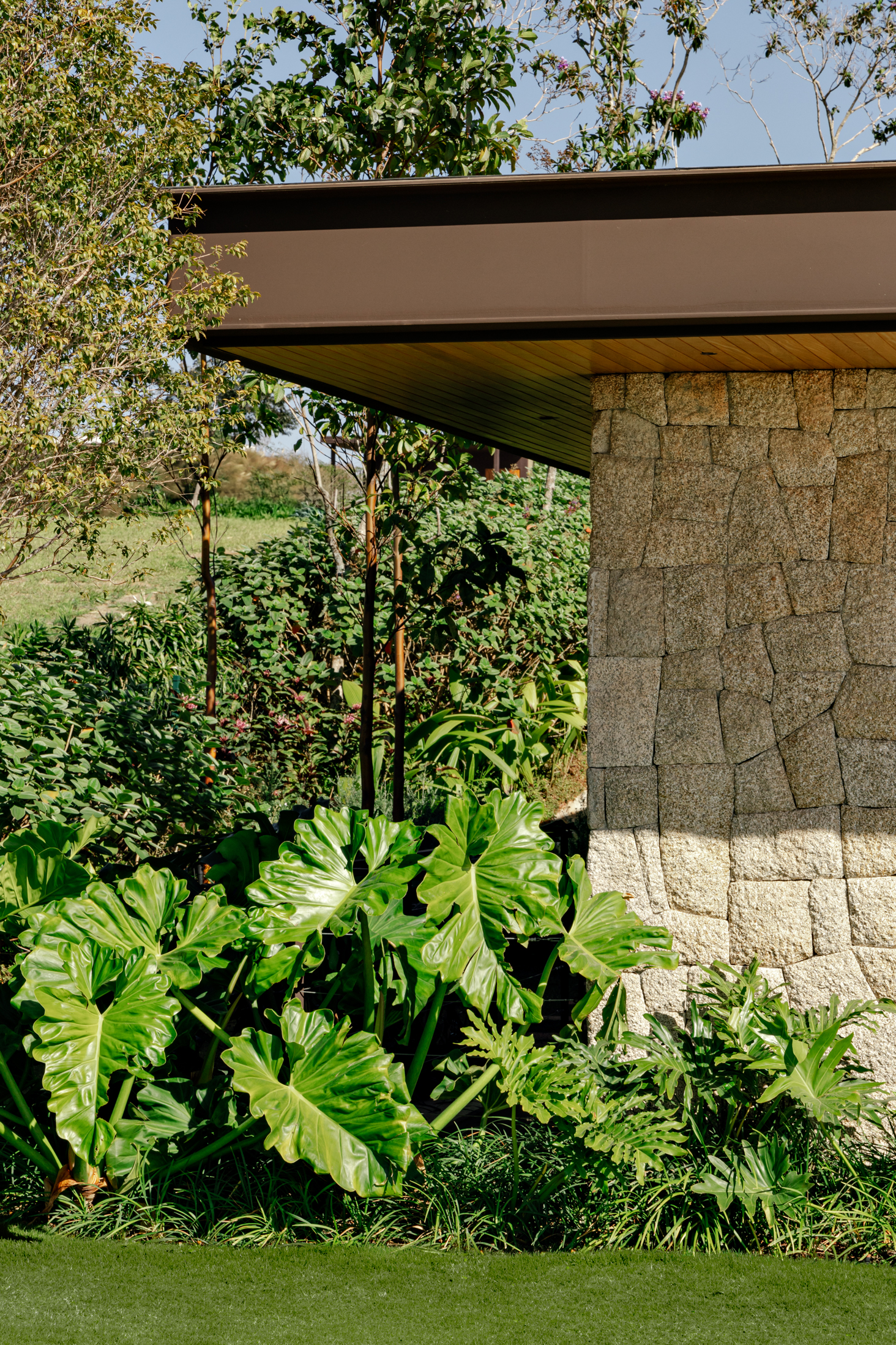 365A9163 alterada.png