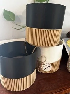 IMG_7912 Small 2.jpeg